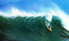 Immagine profilo di surferwaves